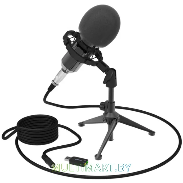 Микрофон Ritmix RDM-160